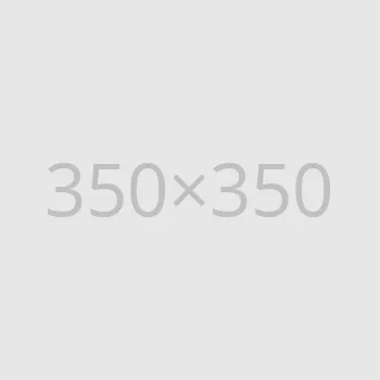 about-team4